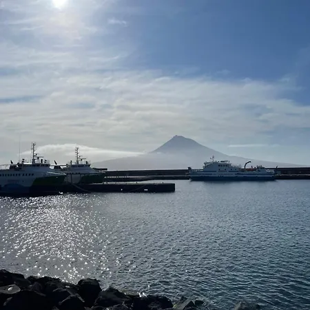 דירה Avenue Azores הורטה