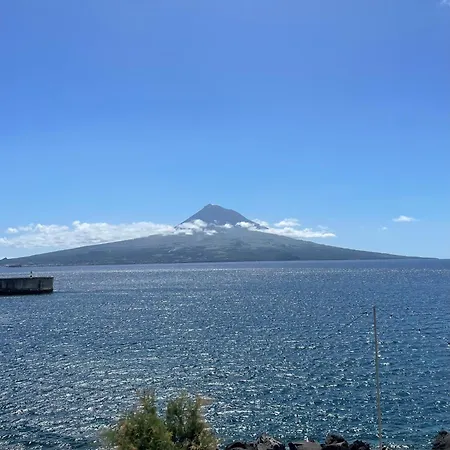 Avenue Azores דירה *